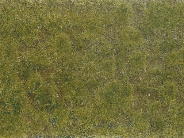 Bodendecker-Foliage grün/braun