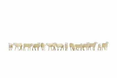 Schafe - 14 Tiere