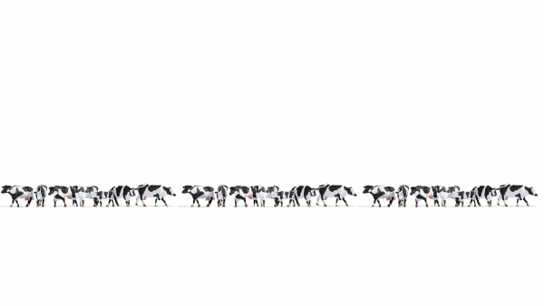 XL-Set “Kühe schwarz-weiß” - 21 Kühe