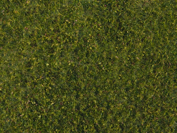 Wiesen-Foliage, mittelgrün - mittelgrün, 20 x 23 cm