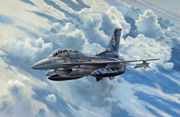 Lockheed Martin F-16D Tigermeet 2014